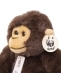 BON TON TOYS:WWF orangutan/chimpanzee �ʂ������
