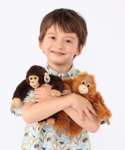 BON TON TOYS:WWF orangutan/chimpanzee �ʂ������