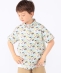SHIPS KIDS:100�`130cm / ���o�e�B �v�����g ���� �V���c