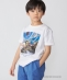 DQ�ZR × SHIPS:100�`140cm �^�C�g���W���P�b�g T�V���c�qKIDS�r