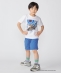 DQ�ZR × SHIPS:100�`140cm �^�C�g���W���P�b�g T�V���c�qKIDS�r