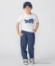 DQ�ZR × SHIPS:100�`140cm  ���S T�V���c�qKIDS�r