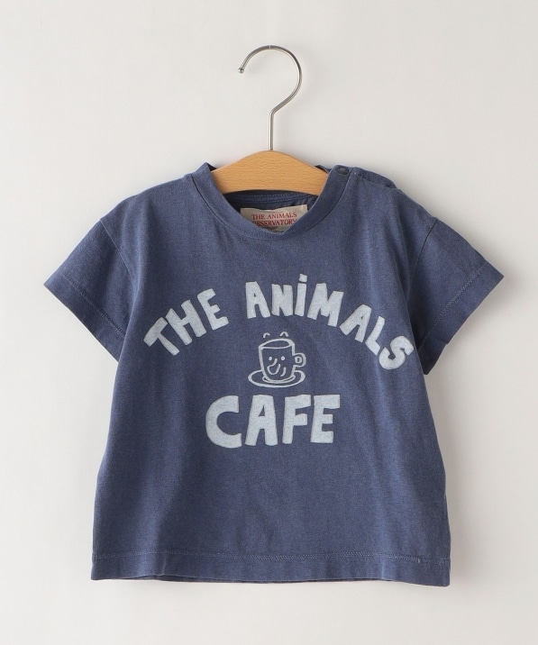 The Animals Observatory／TAO Tシャツ