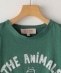 The Animals Observatory:Rooster/Hippo T-Shirt(100〜130cm)