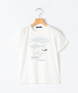 SHIPS KIDS:80c�`90m /�q�ڐG�⊴/�z�������r�V���[�N �t���[�N TEE
