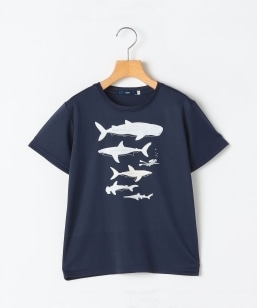 SHIPS KIDS:80c�`90m /�q�ڐG�⊴/�z�������r�V���[�N �t���[�N TEE