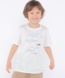 SHIPS KIDS:100c`130m /qڐG⊴/zrV[N t[N TEE