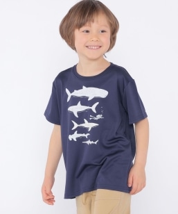 SHIPS KIDS:100c`130m /qڐG⊴/zrV[N t[N TEE