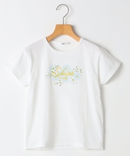 SHIPS KIDS:140�`150cm / �K�[���[ �G���u���C�_���[ ���S T�V���c