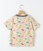 SHIPS KIDS:100�`110cm /�_�C�i�\�[ T�V���c
