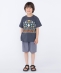 SHIPS KIDS:100�`130cm / �X�y�[�X �h�J T�V���c