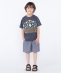 SHIPS KIDS:100�`130cm / �X�y�[�X �h�J T�V���c