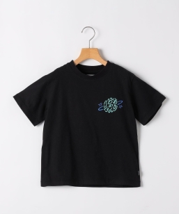 ARCH&LINE:125�`145cm / �I�[�K�j�b�N�R�b�g�� �v�����g T�V���c