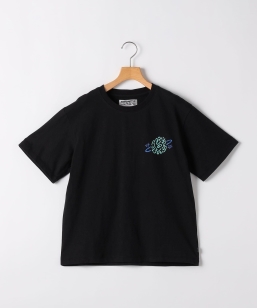 ARCH&LINE:155�`165cm / �I�[�K�j�b�N�R�b�g�� �v�����g T�V���c