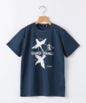 SHIPS KIDS:140�`160cm /�q�ڐG�⊴/�z�������r�T�}�[ �g���C�A���O��  T�V���c �l�C�r�[