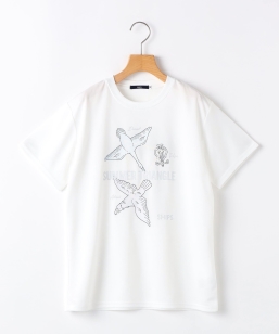 SHIPS KIDS:140�`160cm /�q�ڐG�⊴/�z�������r�T�}�[ �g���C�A���O��  T�V���c