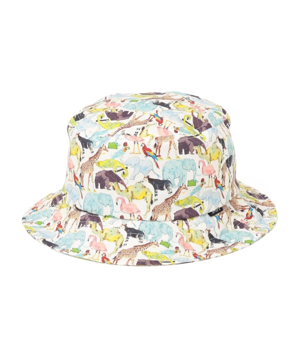 SHIPS KIDS:�qUV�J�b�g�r�x�r�[  �o�P�b�g �n�b�g