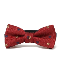 SHIPS KIDS:�Z�����j�[ ���䕿 ���l�N�^�C