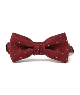 SHIPS KIDS:�Z�����j�[ �h�b�g�� ���l�N�^�C