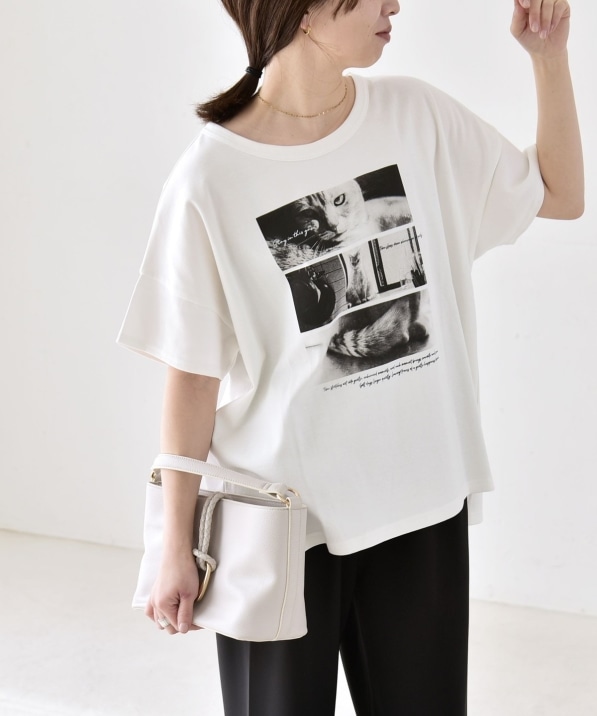 接触冷感/汗染み防止加工/洗濯機可能〉CAT プリント TEE｜ SHIPS 公式