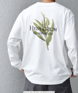 �ySHIPS any�ʒ��zNYBG: �{�^�j�J�� �v�����g �����b�N�X T�V���c (����T)��