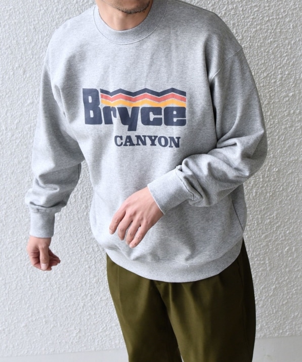 グレー トラウトフィッシュプリント スウェット M WEB限定】SHIPS any