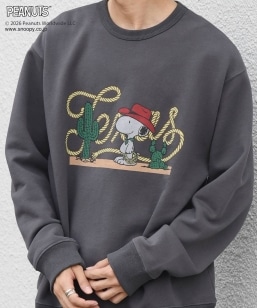 SNOOPY �R���{ �A�����J�� ���P�[�V���� �O���t�B�b�N �v�����g �X�E�F�b�g��