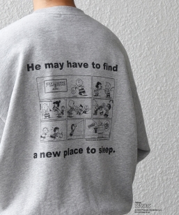 SHIPS any: SNOOPY R{ R~bN OtBbN vg XEFbg