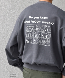 SHIPS any: SNOOPY R{ R~bN OtBbN vg XEFbg