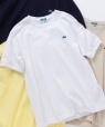 【SHIPS any別注】LACOSTE: PIQUE クルーネック Tシャツ◇ ホワイト