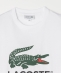 LACOSTE: rbO S vg TVc TH6396