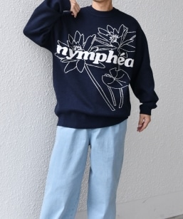 SHIPS any: q􂢉\rt[ _uWK[h vI[o[ jbg