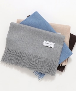 SHIPS any: JV~ \bh }t[ 25AW