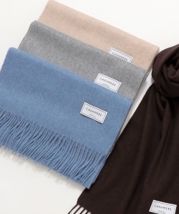 SHIPS any: JV~ \bh }t[ 25AW