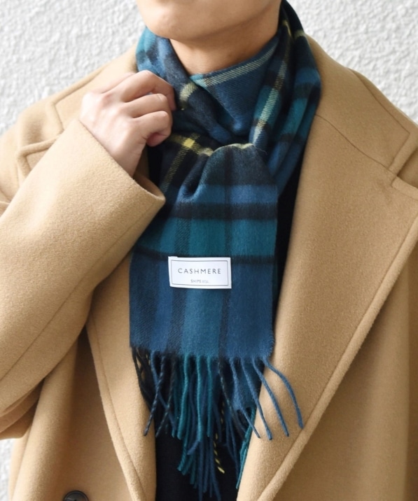 SHIPS any: JV~ `FbN }t[