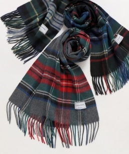 SHIPS any: JV~ `FbN }t[