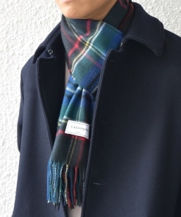 SHIPS any: JV~ `FbN }t[