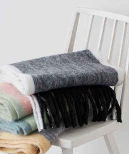 SHIPS any:q􂢉\r{[ VM[ XCb` }t[ (jZbNX)