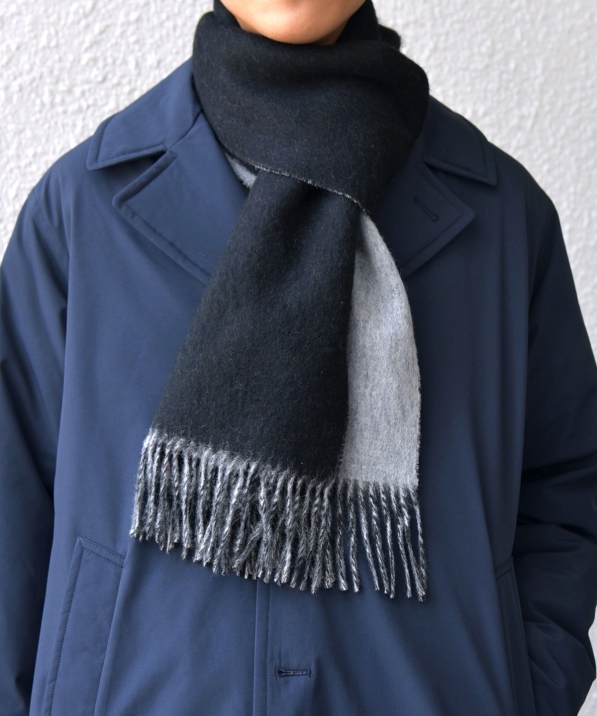 SHIPS any: T[vX[ E[ o[Vu \bh }t[