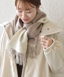 SHIPS any: T[vX[ E[ o[Vu \bh }t[