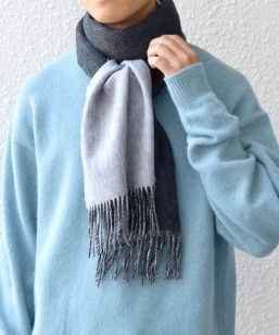 SHIPS any: T[vX[ E[ JV~ o[Vu \bh }t[