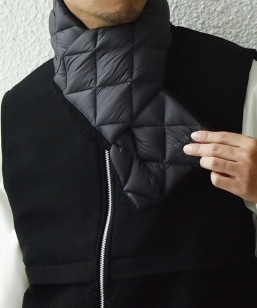 �ySHIPS any�ʒ��zTAION: �q��􂢉\�r���o�[�V�u�� �{�A �_�E�� �}�t���[��