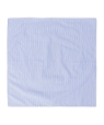 SHIPS any: �d�B�D �R�b�g�� �X�g���C�v/�`�F�b�N �n���J�` ���C�g�u���[