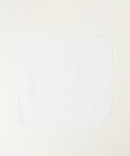 SHIPS any: �}���`�f�U�C�� �x�[�V�b�N �n���J�`