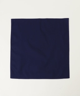 SHIPS any: �}���`�f�U�C�� �x�[�V�b�N �n���J�`