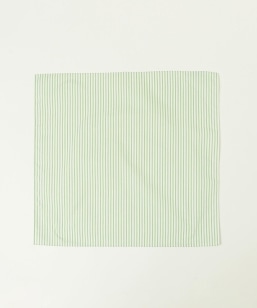 SHIPS any: �}���`�f�U�C�� �x�[�V�b�N �n���J�`