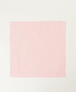 SHIPS any: �}���`�f�U�C�� �x�[�V�b�N �n���J�`