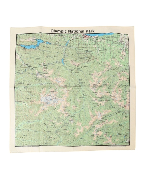 THE PRINTED IMAGE: vg o_i