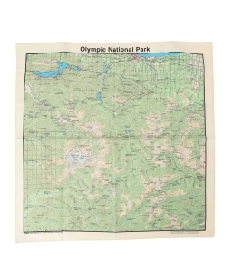 THE PRINTED IMAGE: vg o_i