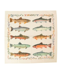 THE PRINTED IMAGE: vg o_i